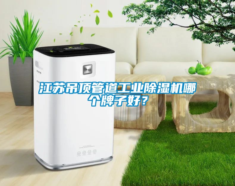 江苏吊顶管道工业草莓视频APP在线观看哪个牌子好？