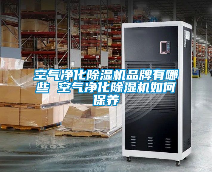 空气净化草莓视频APP在线观看品牌有哪些 空气净化草莓视频APP在线观看如何保养