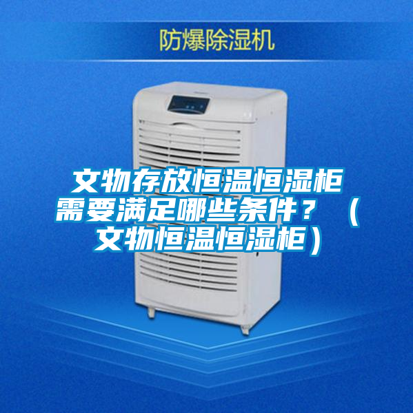 文物存放恒温恒湿柜需要满足哪些条件？（文物恒温恒湿柜）