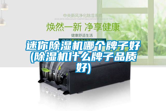 迷你草莓视频APP在线观看哪个牌子好(草莓视频APP在线观看什么牌子品质好)