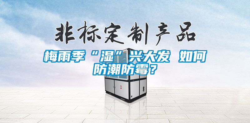 梅雨季“湿”兴大发 如何防潮防霉？