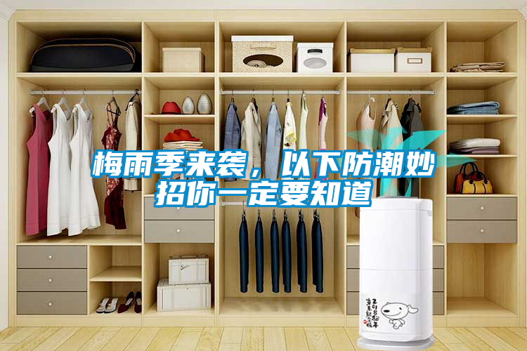 梅雨季来袭，以下防潮妙招你一定要知道