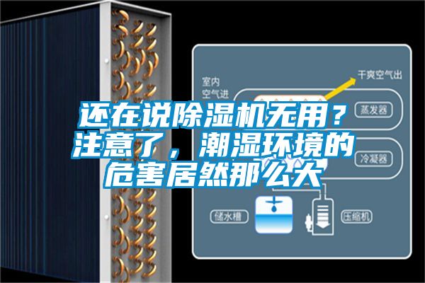 还在说草莓视频APP在线观看无用？注意了，潮湿环境的危害居然那么大