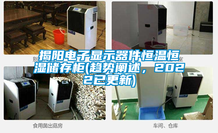 揭阳电子显示器件恒温恒湿储存柜(趋势阐述，2022已更新)