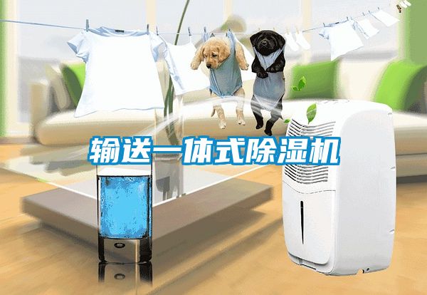 输送一体式草莓视频APP在线观看