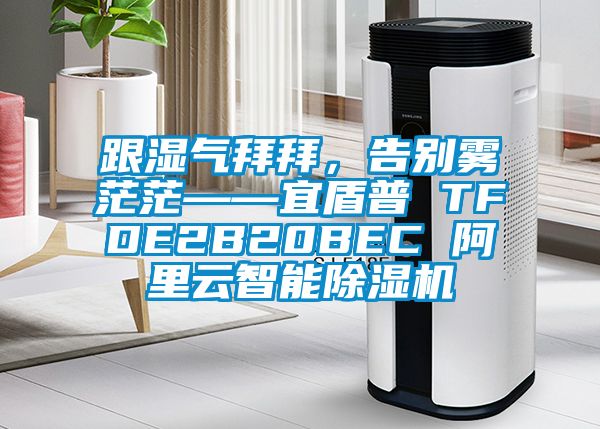 跟湿气拜拜，告别雾茫茫——宜盾普 TFDE2B20BEC 阿里云智能草莓视频APP在线观看