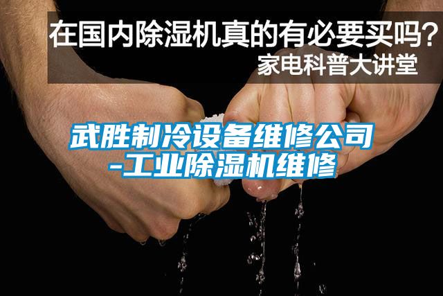 武胜制冷设备维修公司-工业草莓视频APP在线观看维修