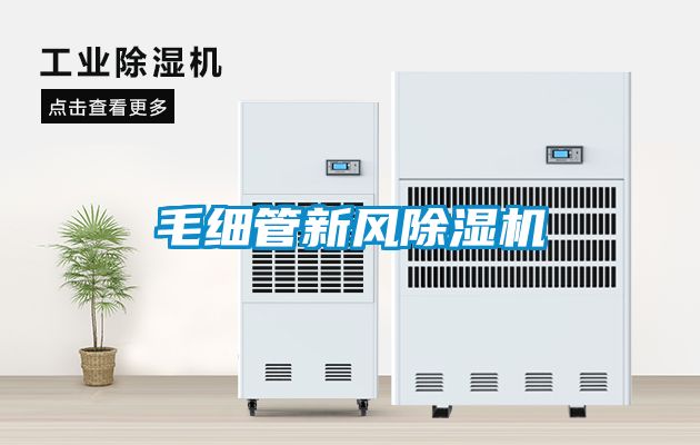 毛细管新风草莓视频APP在线观看