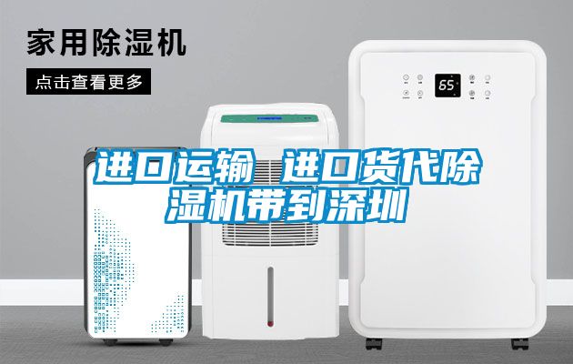进口运输 进口货代草莓视频APP在线观看带到深圳