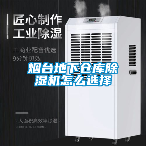 烟台地下仓库草莓视频APP在线观看怎么选择