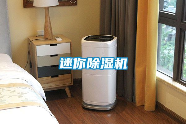 迷你草莓视频APP在线观看