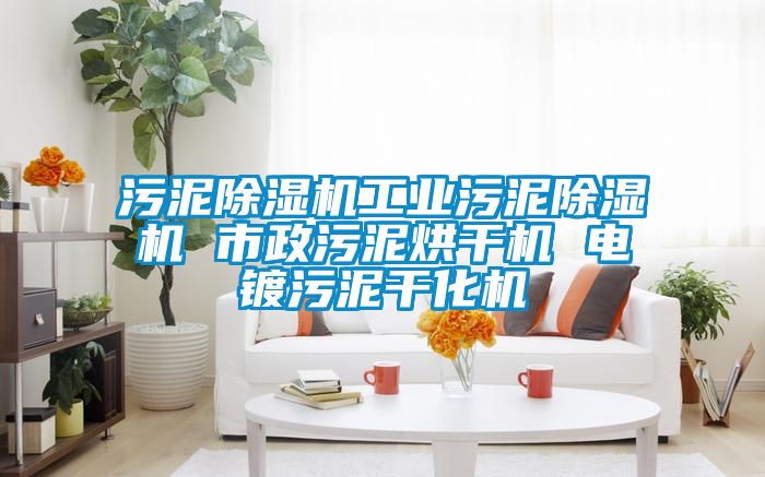 污泥草莓视频APP在线观看工业污泥草莓视频APP在线观看 市政污泥烘干机 电镀污泥干化机