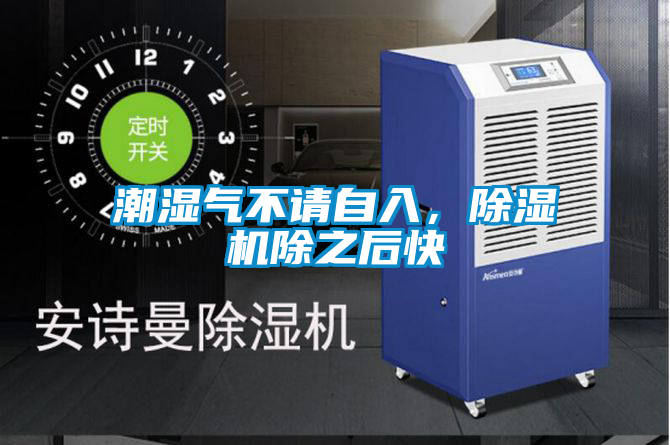 潮湿气不请自入，草莓视频APP在线观看除之后快