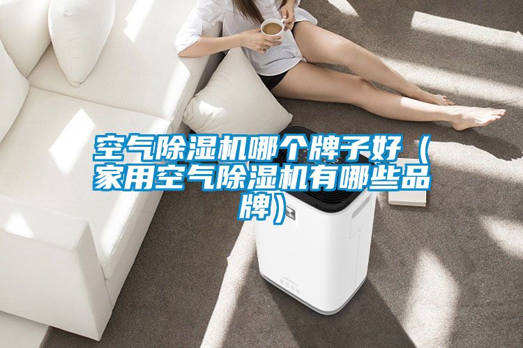 空气草莓视频APP在线观看哪个牌子好（家用空气草莓视频APP在线观看有哪些品牌）