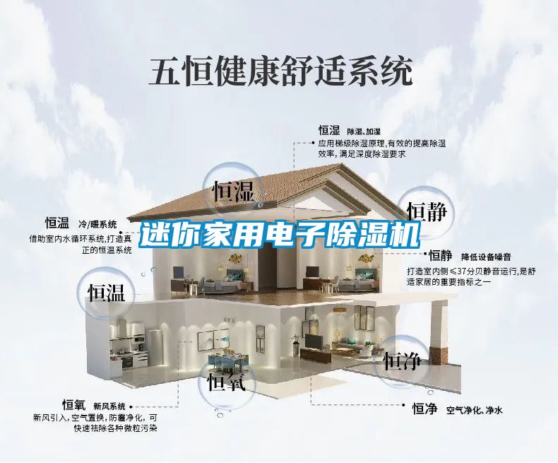 迷你家用电子草莓视频APP在线观看
