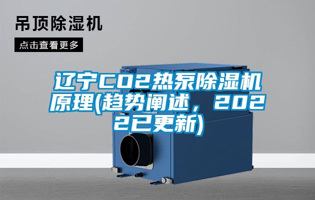 辽宁CO2热泵草莓视频APP在线观看原理(趋势阐述，2022已更新)