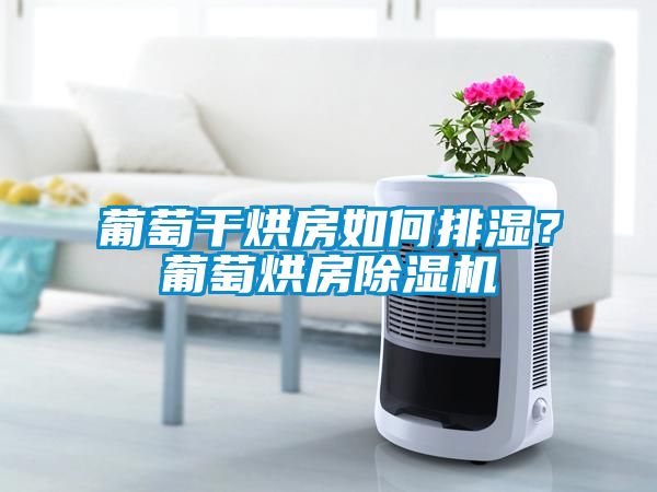葡萄干烘房如何排湿？葡萄烘房草莓视频APP在线观看