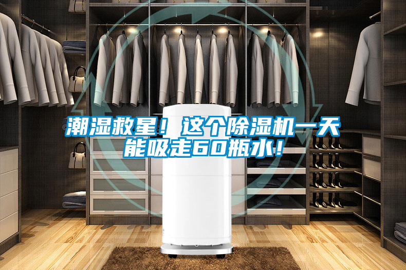 潮湿救星！这个草莓视频APP在线观看一天能吸走60瓶水！