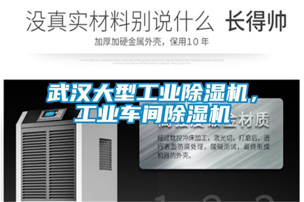 武汉大型工业草莓视频APP在线观看，工业车间草莓视频APP在线观看