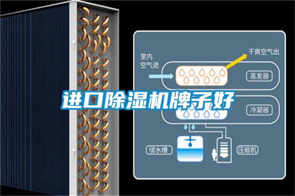 进口草莓视频APP在线观看牌子好