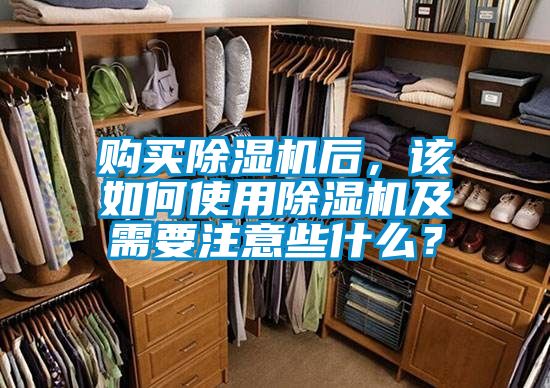购买草莓视频APP在线观看后，该如何使用草莓视频APP在线观看及需要注意些什么？