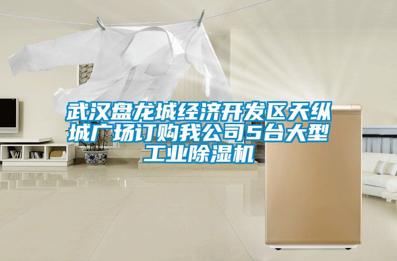 武汉盘龙城经济开发区天纵城广场订购我公司5台大型工业草莓视频APP在线观看