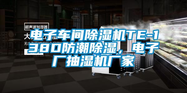 电子车间草莓视频APP在线观看TE-138D防潮除湿，电子厂抽湿机厂家