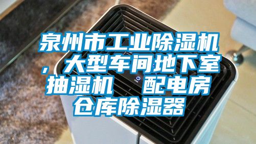 泉州市工业草莓视频APP在线观看，大型车间地下室抽湿机  配电房仓库除湿器