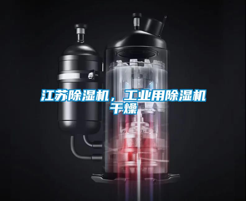 江苏草莓视频APP在线观看，工业用草莓视频APP在线观看干燥