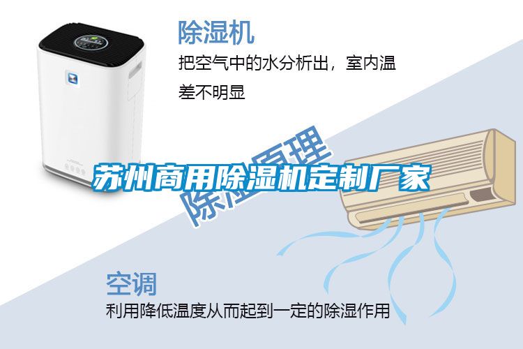 苏州商用草莓视频APP在线观看定制厂家