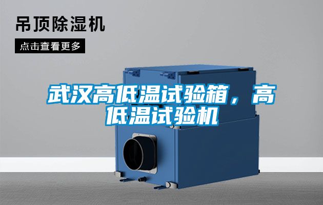 武汉高低温试验箱，高低温试验机