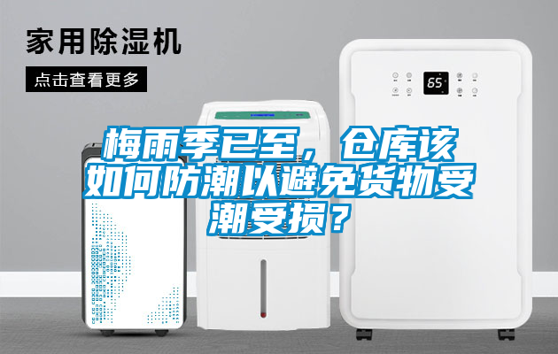 梅雨季已至，仓库该如何防潮以避免货物受潮受损？