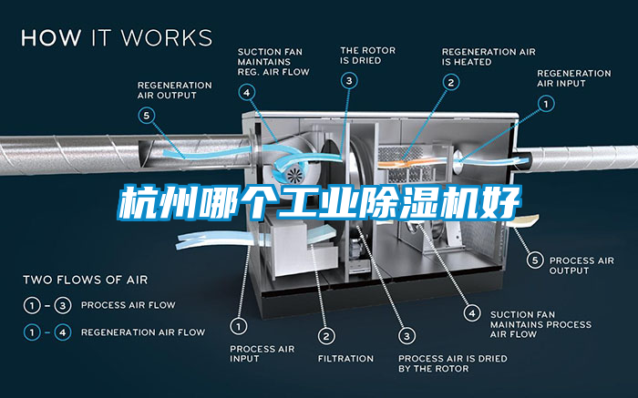 杭州哪个工业草莓视频APP在线观看好