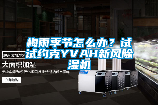 梅雨季节怎么办？试试约克YVAH新风草莓视频APP在线观看