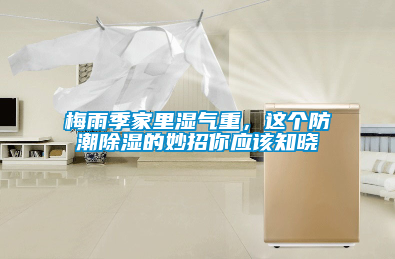 梅雨季家里湿气重，这个防潮除湿的妙招你应该知晓