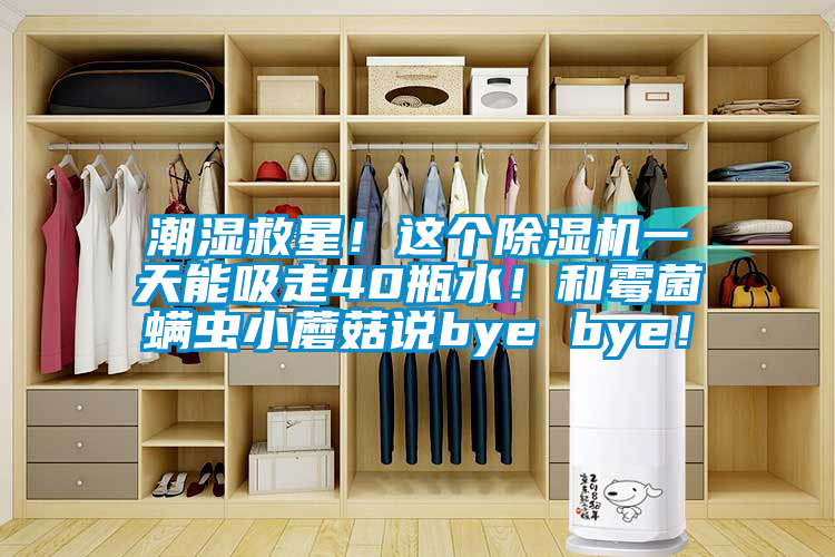 潮湿救星！这个草莓视频APP在线观看一天能吸走40瓶水！和霉菌螨虫小蘑菇说bye bye！