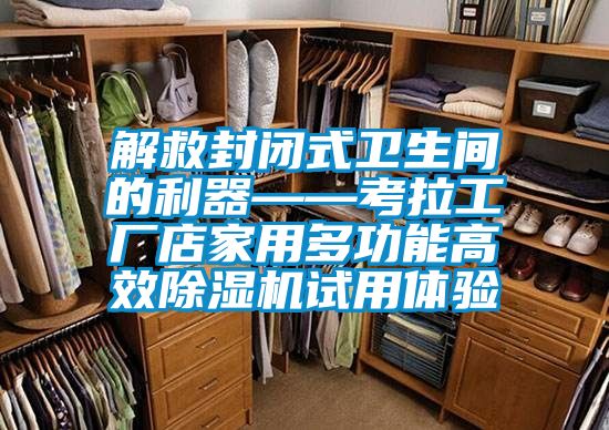 解救封闭式卫生间的利器——考拉工厂店家用多功能高效草莓视频APP在线观看试用体验
