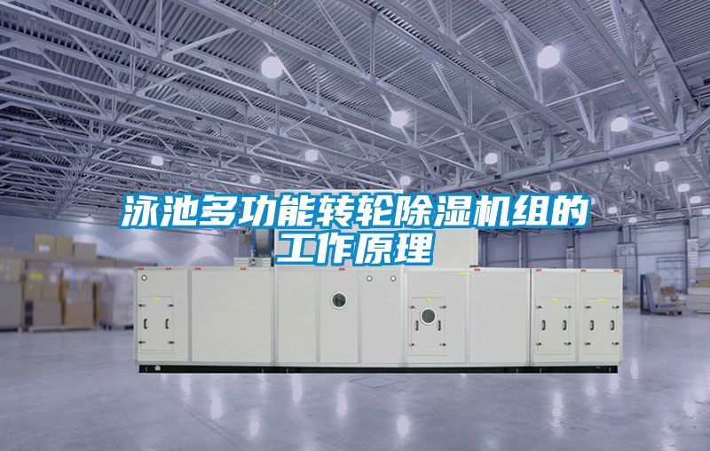 泳池多功能转轮草莓视频APP在线观看组的工作原理