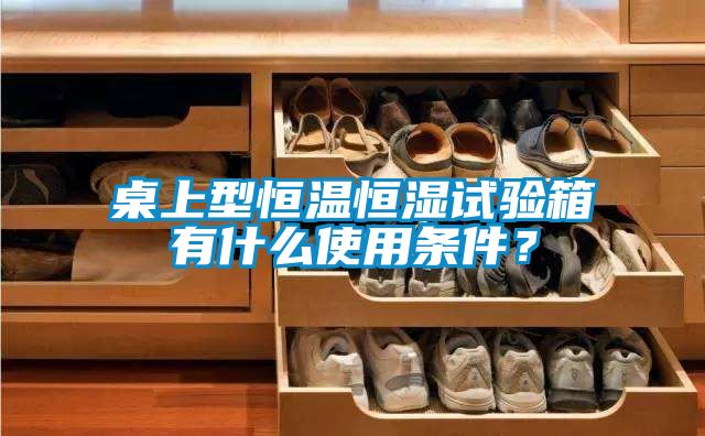 桌上型恒温恒湿试验箱有什么使用条件？