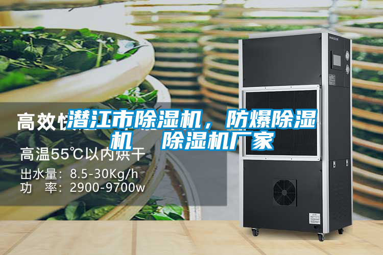 潜江市草莓视频APP在线观看，防爆草莓视频APP在线观看  草莓视频APP在线观看厂家