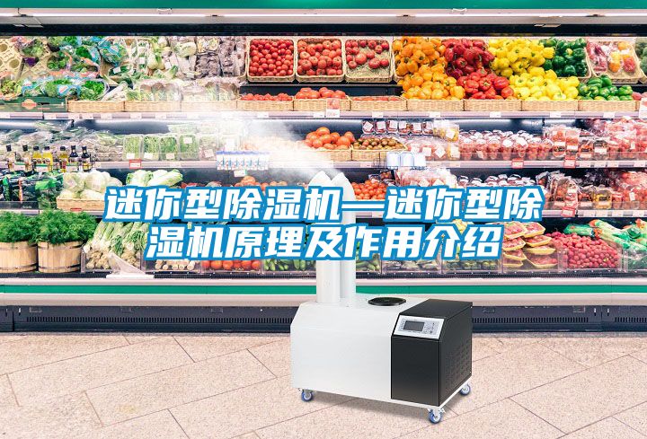 迷你型草莓视频APP在线观看—迷你型草莓视频APP在线观看原理及作用介绍
