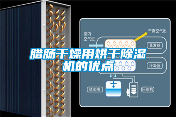 腊肠干燥用烘干草莓视频APP在线观看的优点