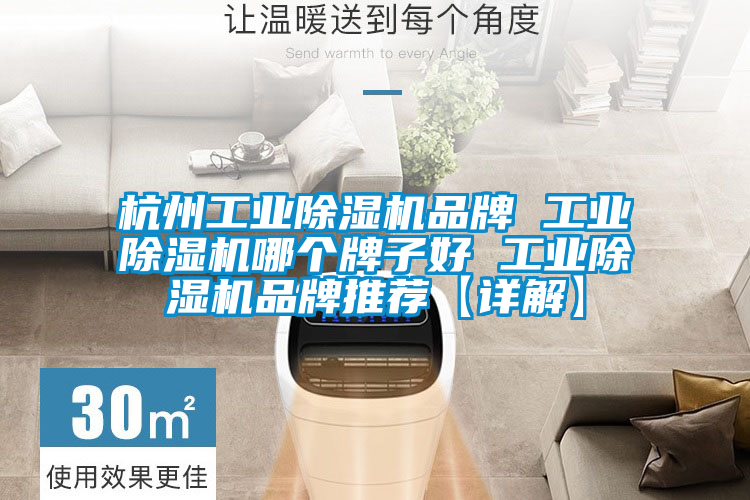 杭州工业草莓视频APP在线观看品牌 工业草莓视频APP在线观看哪个牌子好 工业草莓视频APP在线观看品牌推荐【详解】