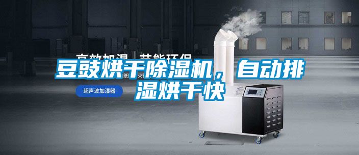 豆豉烘干草莓视频APP在线观看，自动排湿烘干快