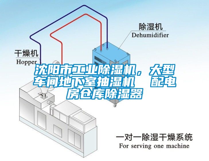 沈阳市工业草莓视频APP在线观看，大型车间地下室抽湿机  配电房仓库除湿器