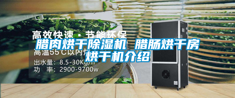 腊肉烘干草莓视频APP在线观看 腊肠烘干房烘干机介绍