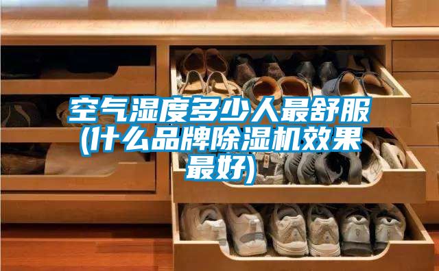 空气湿度多少人最舒服(什么品牌草莓视频APP在线观看效果最好)