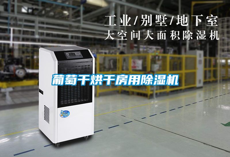 葡萄干烘干房用草莓视频APP在线观看