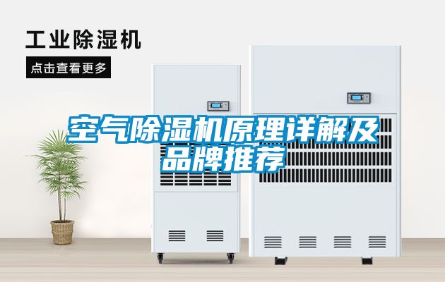 空气草莓视频APP在线观看原理详解及品牌推荐