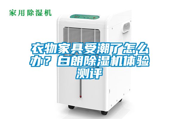 衣物家具受潮了怎么办？白朗草莓视频APP在线观看体验测评